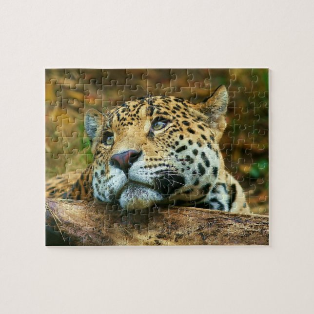 Leopard-Puzzlespiel Puzzle (Horizontal)