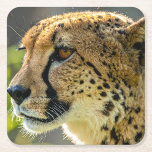 Leopard Rechteckiger Pappuntersetzer