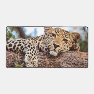 Leopard Relaxing Schreibtischunterlage