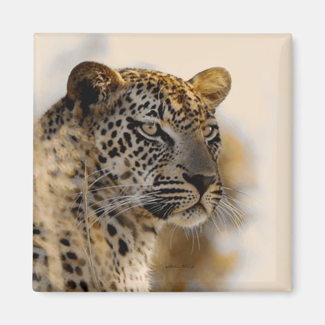 Leopard-Safarimagnete Magnet (Vorne)
