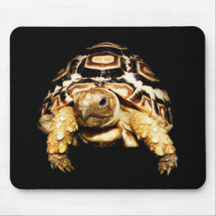 Leopard-Schildkröte Mousepad