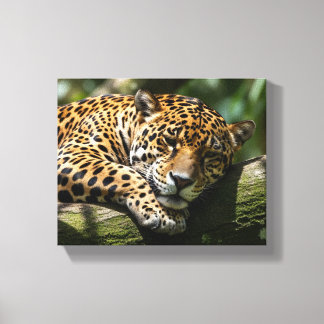 Leopard-Schlaf-Leinwand-Wandkunst Leinwanddruck