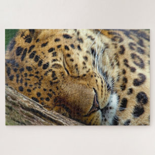 Leopard schläft auf einem Stamm Puzzle