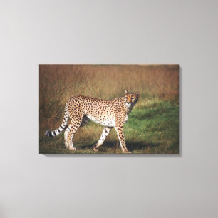 Leopard schlicht leinwanddruck