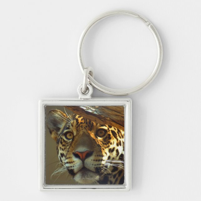 Leopard Schlüsselanhänger (Vorne)