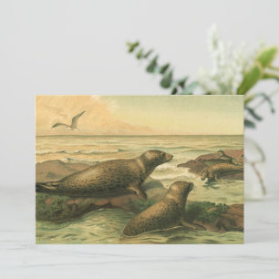 Leopard-Siegel, Vintage-Wassertiere Meeresleben