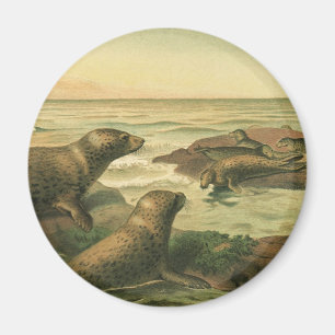Leopard-Siegel, Vintage-Wassertiere Meeresleben Magnet