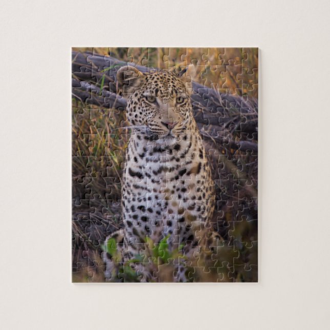 Leopard sitzend, Botswana, Afrika Puzzle (Vertikal)