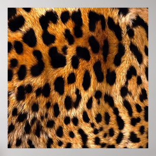 Leopard Spots Black Brown Wild Animal Fine Art Poster