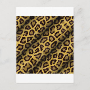 Leopard Spots Postkarte