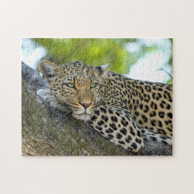 Leopard Spots Puzzle (Horizontal)