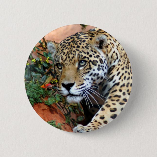 Leopard Stalking Macro Button (Vorderseite)