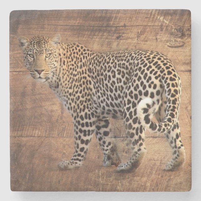 Leopard Steinuntersetzer (Vorderseite)