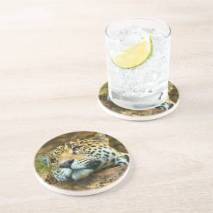 Leopard Stone Untersetzer