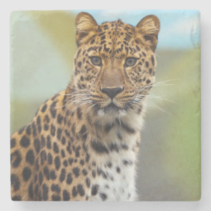 Leopard-Stone-Untersetzer Steinuntersetzer