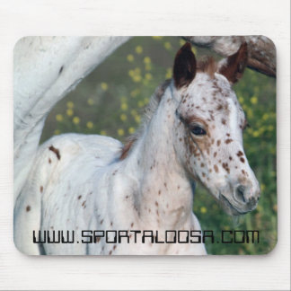 Leopard-Stutenfohlen Mousepad