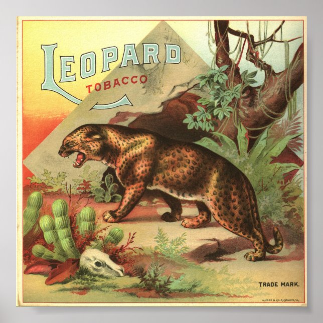 Leopard Tabak 1900 Poster (Vorne)