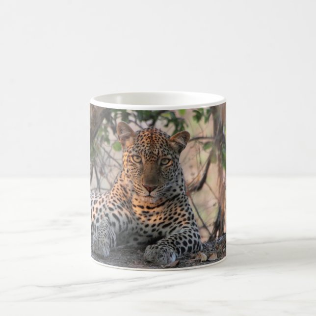 Leopard-Tasse Tasse (Mittel)