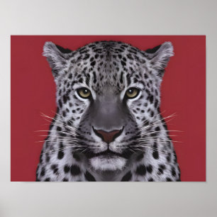 Leopard Tiergesicht im kinematischen Stil. Poster