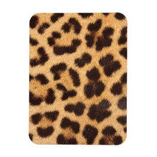 Leopard-Tierhaut-Druck Magnet