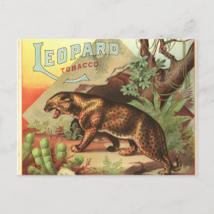 Leopard Tobacco 1900 Postkarte