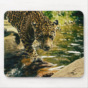 Leopard überquert ein Stream-Foto Mousepad