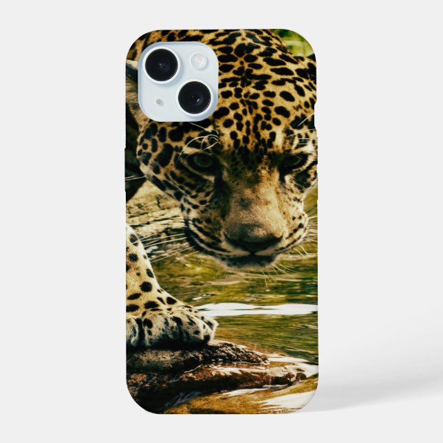 Leopard überquert einen Strom iPhone 15 Hülle (Rückseite)