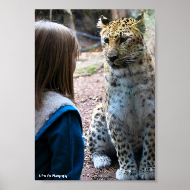 Leopard und Kind Poster (Vorne)