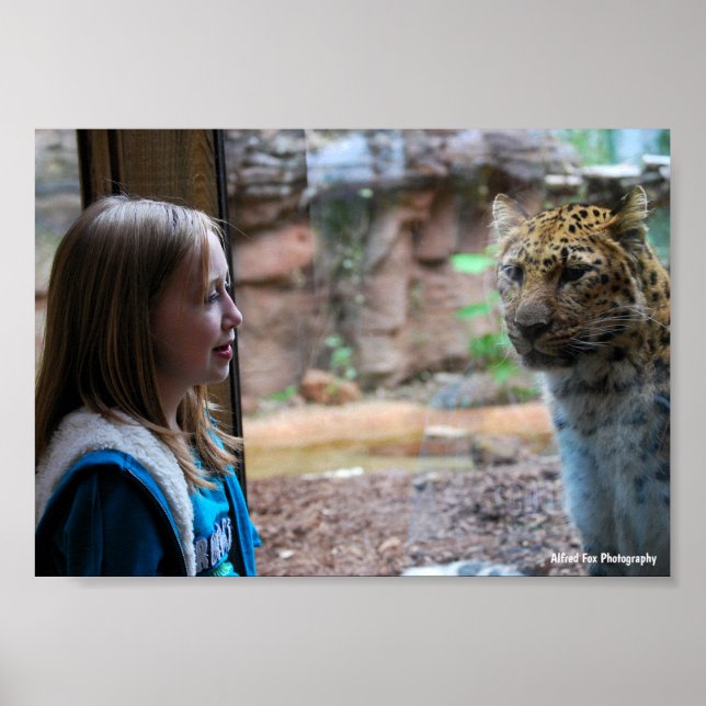 Leopard und Kinderporträt Poster (Vorne)