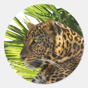 LEOPARD UND PALMS RUNDER AUFKLEBER