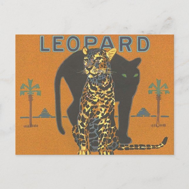 Leopard und Panther Postkarte (Vorderseite)