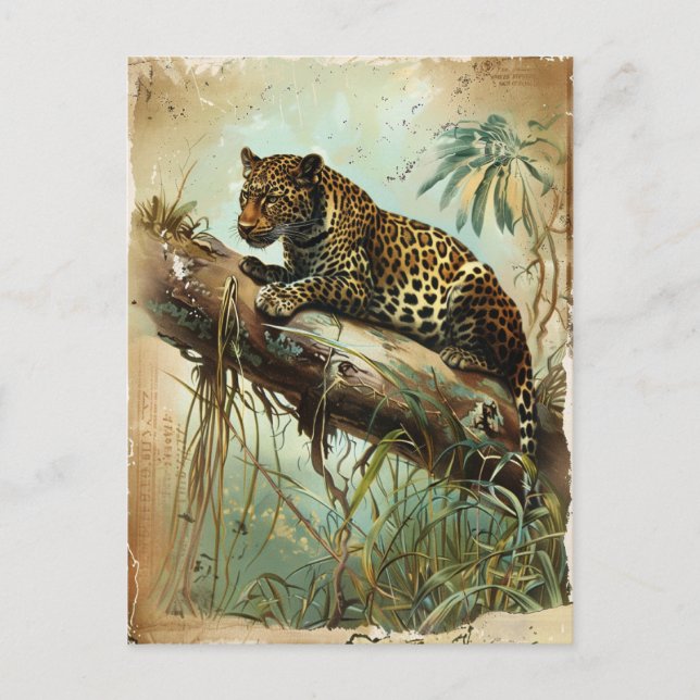Leopard Vintag Postkarte (Vorderseite)