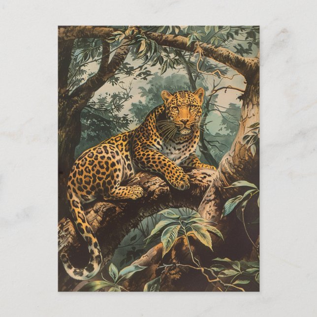 Leopard Vintag Postkarte (Vorderseite)
