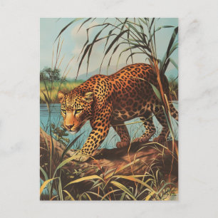Leopard Vintag Postkarte