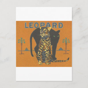 Leopard Vintag Postkarte