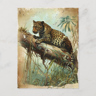 Leopard Vintage Postkarte
