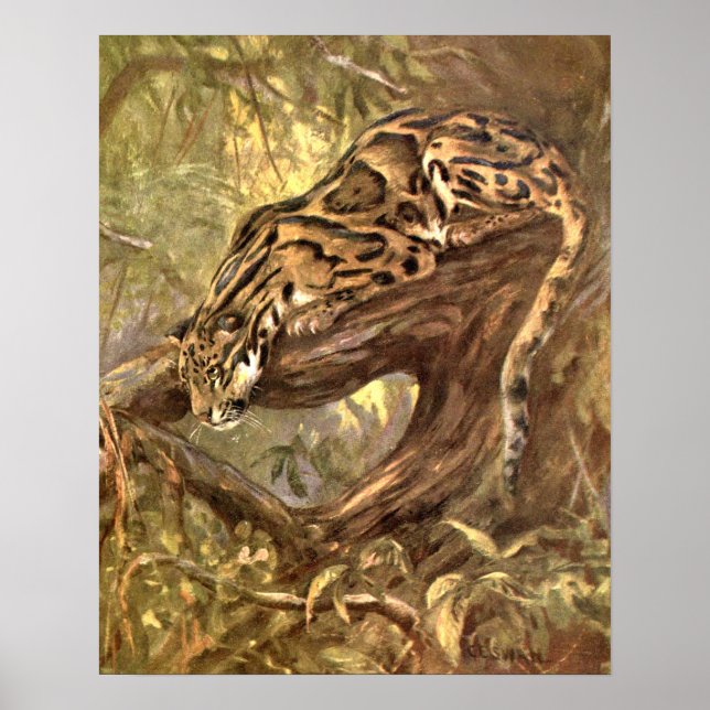 Leopard von CE Swan, Vintage Wildtiere Poster (Vorne)