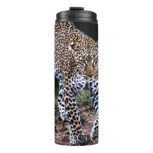 LEOPARD WALKING IN WILD THERMOSBECHER