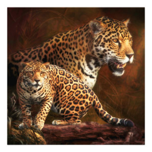 LEOPARD WILD NIGHT FOTODRUCK
