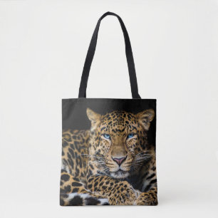 Leopard Zoo Illustration in der nördlichen China