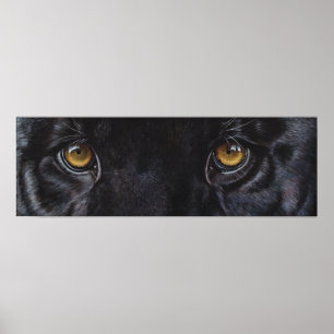 Leopardaugen des schwarzen Panthers Poster