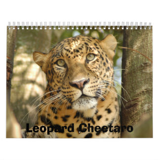 LeopardCheetaro013, Leopard Cheetaro Kalender