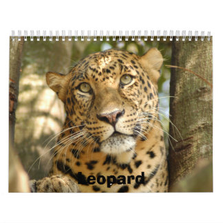 LeopardCheetaro013, Leopard Kalender
