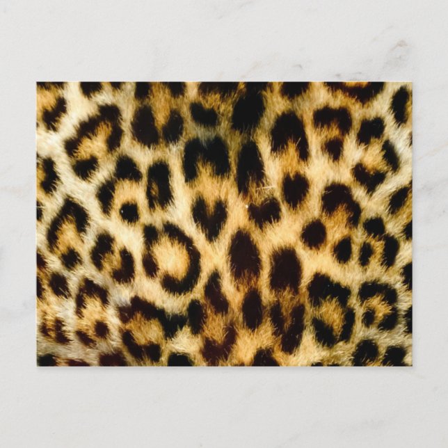 Leoparddruck Postkarte (Vorderseite)