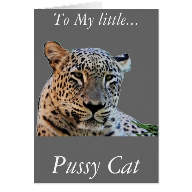 Leoparddrucke (Vorne)