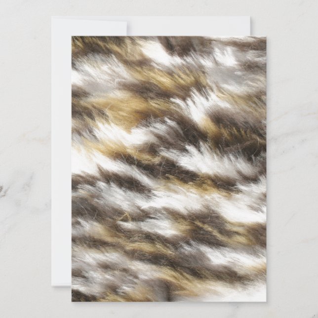 Leoparden (Vorderseite)