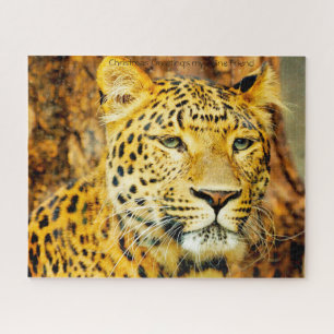 Leoparden große Katzen. Jigsaw Puzzle