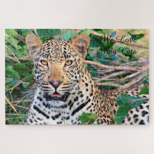 Leoparden große Katzen. Jigsaw Puzzle