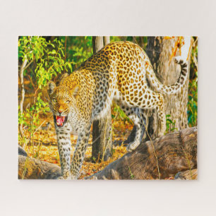 Leoparden große Katzen. Puzzle