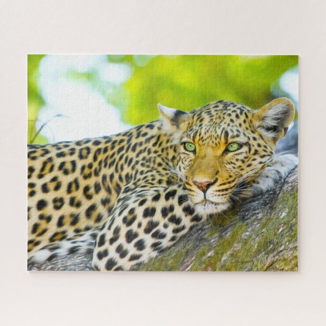 Leoparden große Katzen. Puzzle (Horizontal)